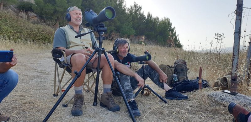 swarovski BTX spotter