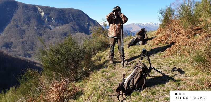 glassing for European Mouflon in the pyrenees
