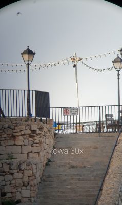 High End Spotting Scope Kowa highlander