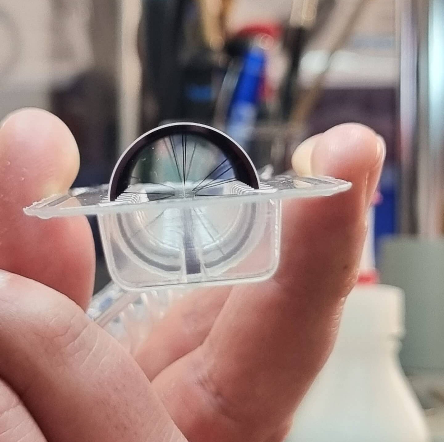 Steiner reticles in the making