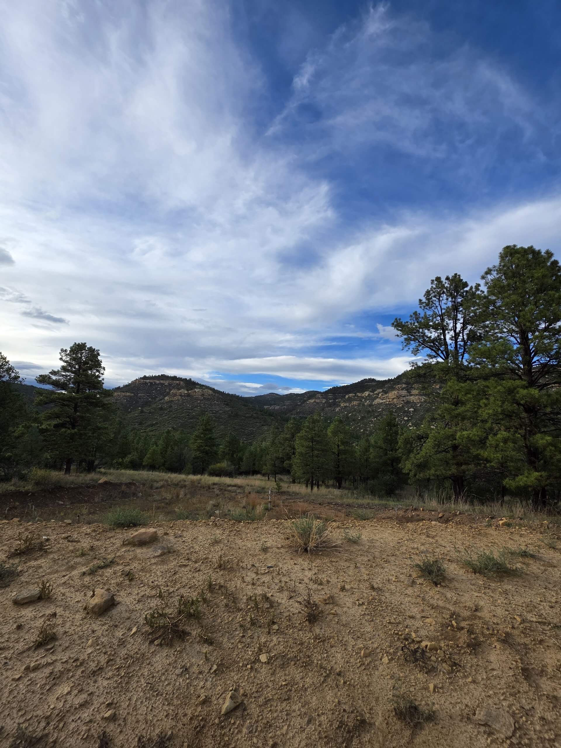 Spring Canyon shooting visit during RifleTalks US trip
