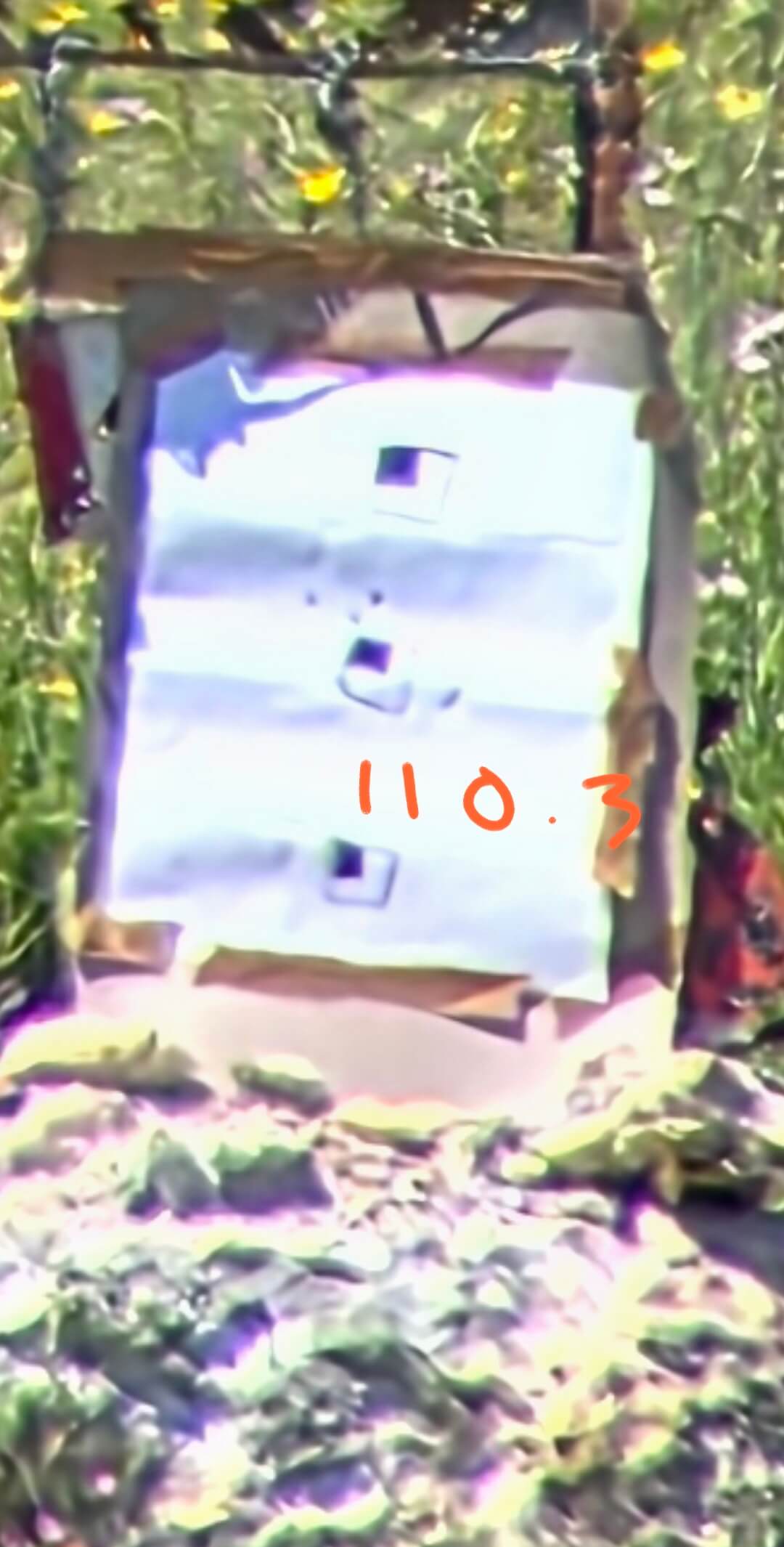 Long-range 33XC testing at shooting targets in France